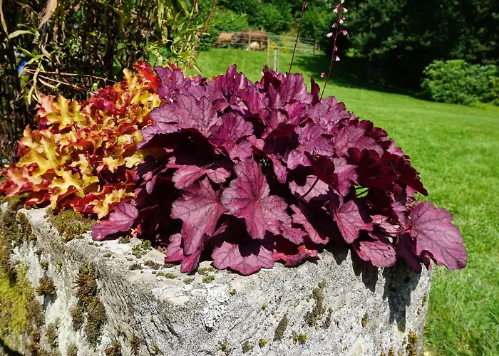 Сasa de vacaciones Am Leiselbach