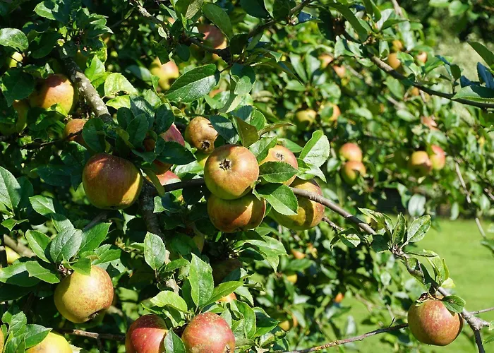 Am Leiselbach Сasa de vacaciones *